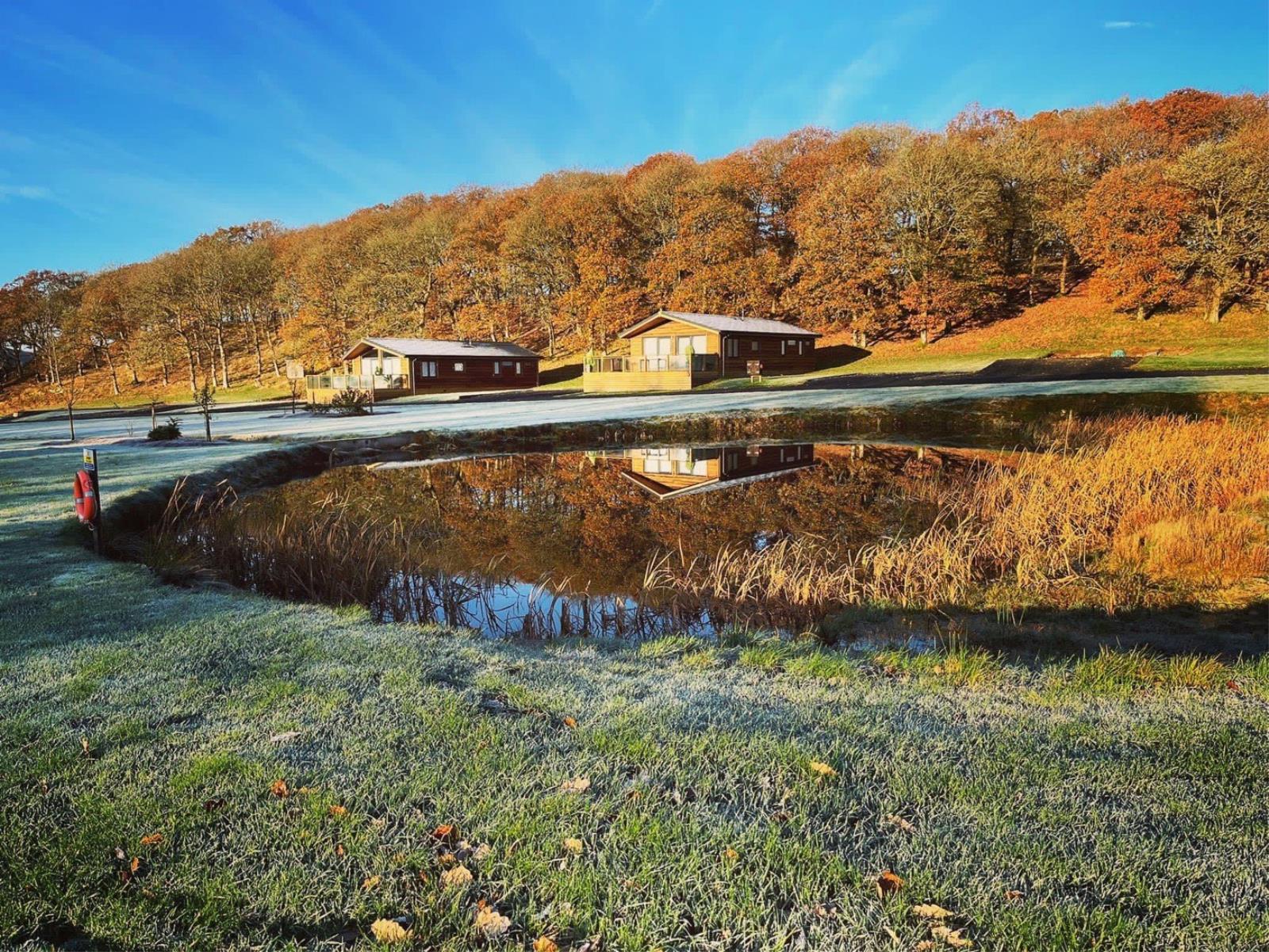 Penybanc Woods - Holiday Lodges - PenybancWoods4.jpeg