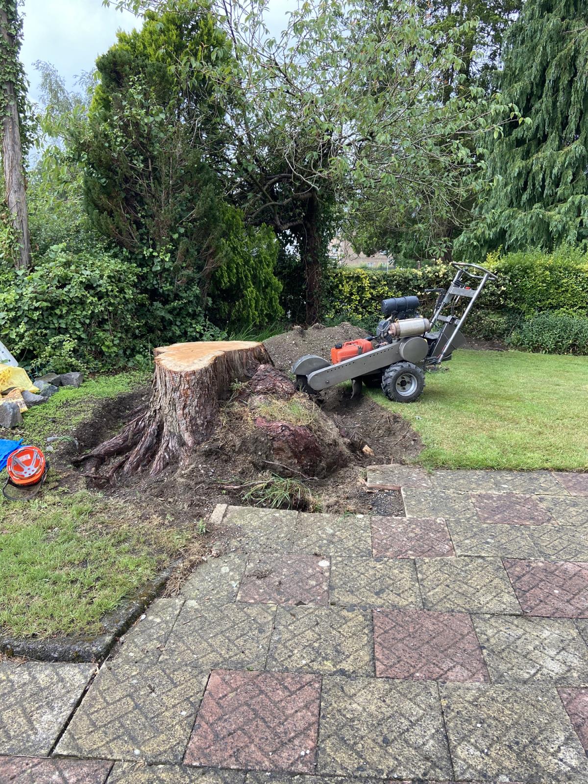 Rob hughes tree surgery and landscaping - RobHughesTreeSurgery6.jpeg