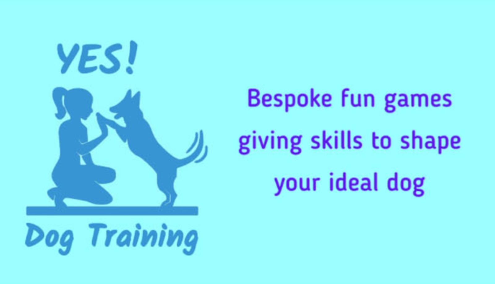 YES! Dog Training  - YesDogTraining5.jpeg