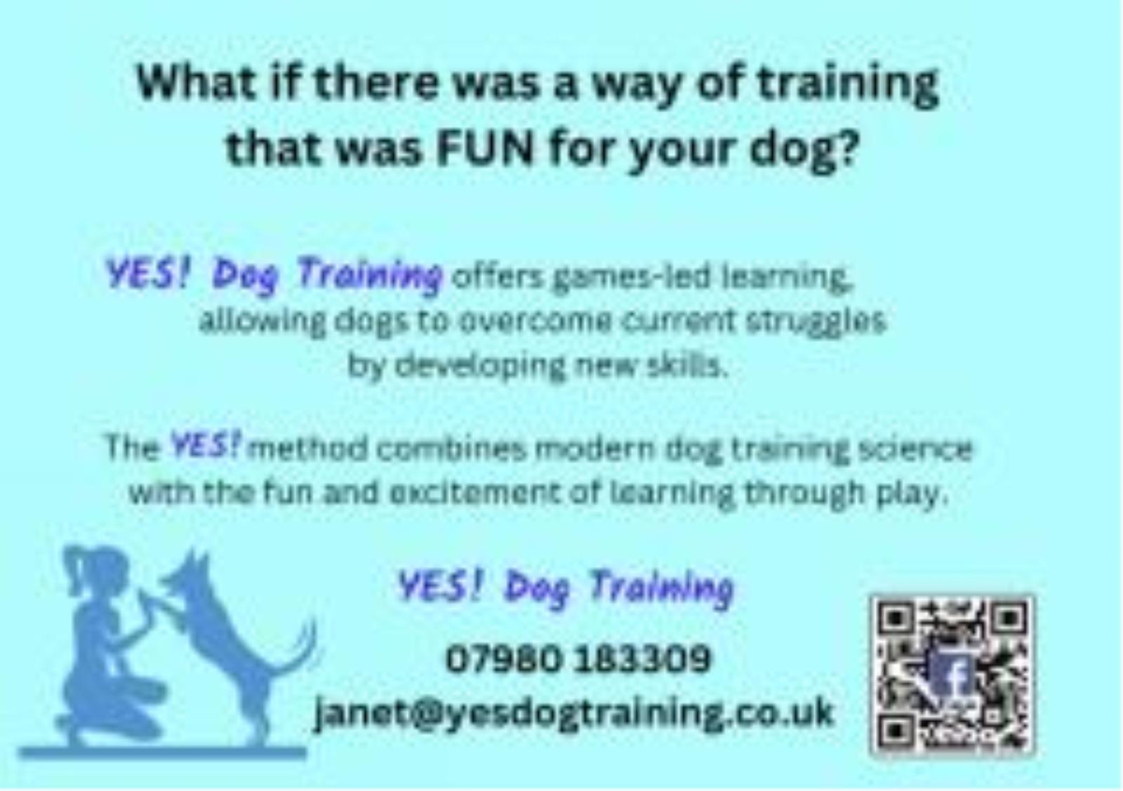 YES! Dog Training  - YesDogTraining6.jpeg